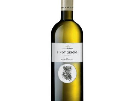 Terra Alpina - Pinot Grigio 2023 (750ml) Discount