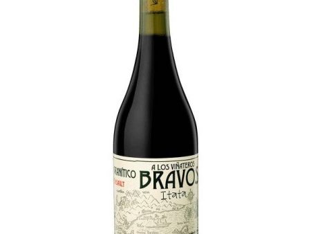 A Los Viñateros Bravos Granítico Cinsault 2021 (750ml) Cheap