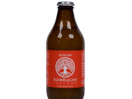 Glóaldin Kombucha - Kúbalúbra For Sale