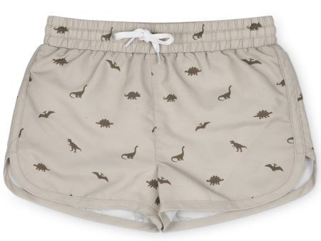 That s Mine Dinosaur Oatmeal Sonny Swim Shorts For Discount