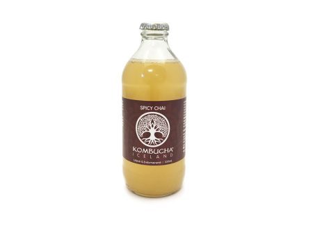 Spicy Chai Kombucha - Kúbalúbra Online Sale