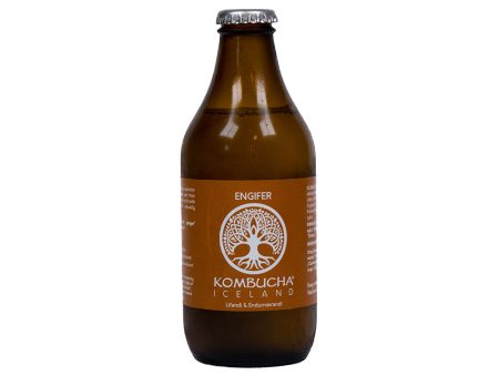 Engifer Kombucha - Kúbalúbra Sale