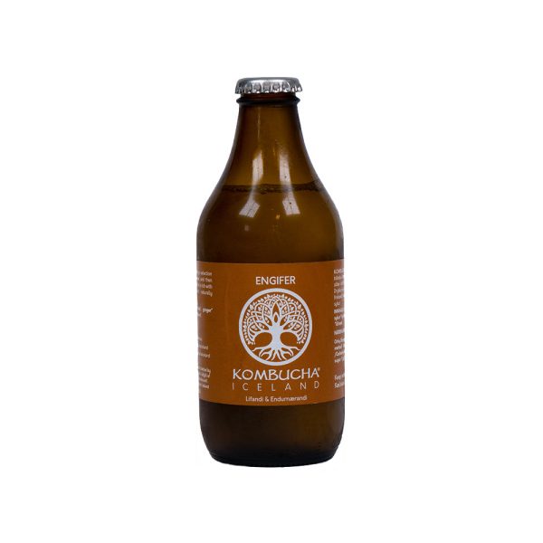 Engifer Kombucha - Kúbalúbra Sale