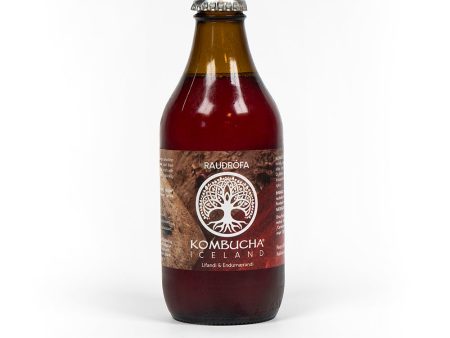 Rauðrófa Kombucha - Kúbalúbra Cheap