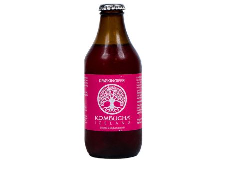 Krækingifer Kombucha - Kúbalúbra Discount