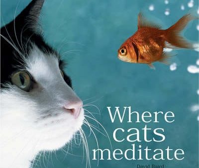 Where Cats Meditate [2003] hardback Fashion